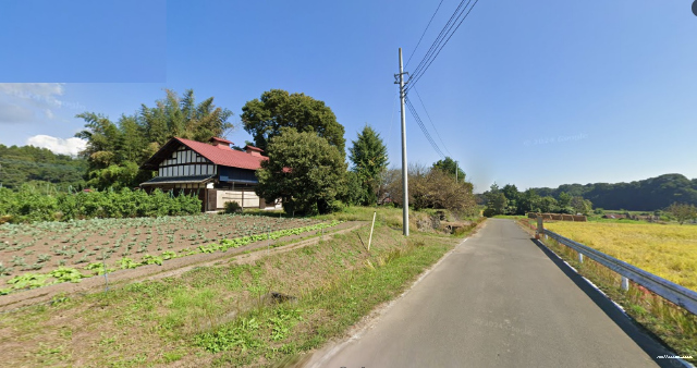 16827画像